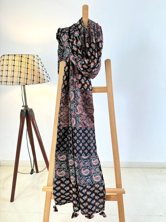 Ajrakh Applique & Kantha Embroidered Dupatta ~ Black Chequered