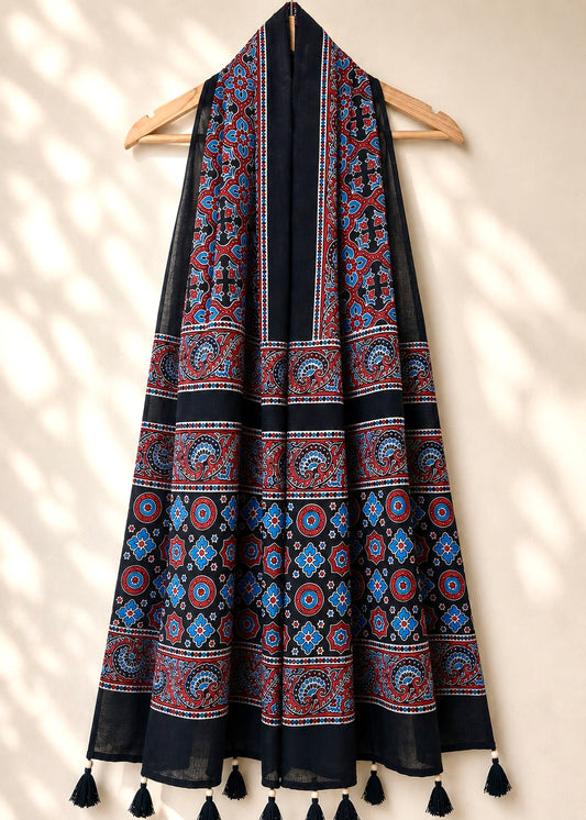 Raahi🌻Ajrakh Cotton Stoles ~ black and blue w/ circle motifs