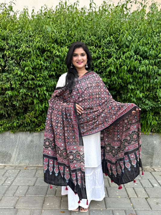 Rangrez🔅Ajrakh Mulmul Cotton Dupattas with Embroidery ~ Black and Red