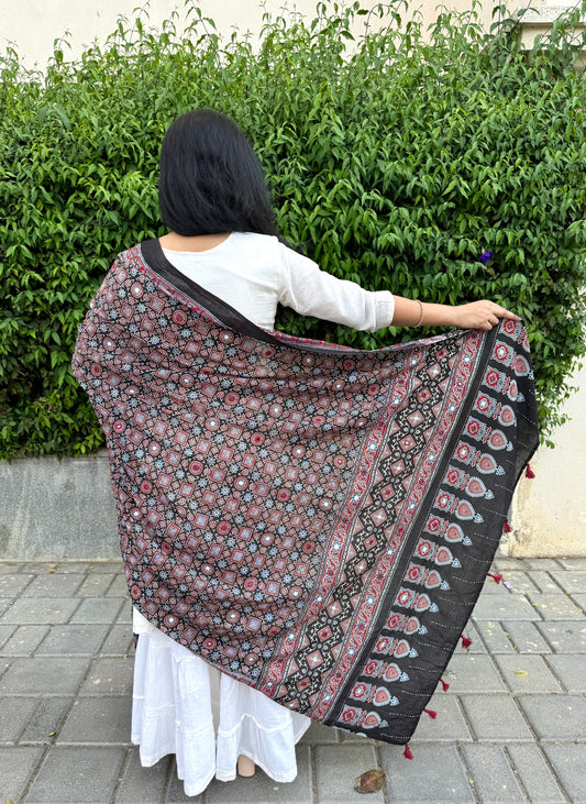 Rangrez🔅Ajrakh Mulmul Cotton Dupattas with Embroidery ~ Black and Red