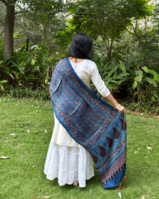 Rangrez🔅Modal Silk Ajrakh Stoles ~ Indigo with Floral Motifs