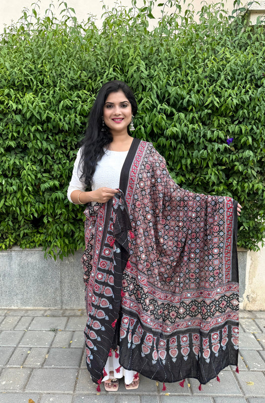 Rangrez🔅Ajrakh Mulmul Cotton Dupattas with Embroidery ~ Black and Red
