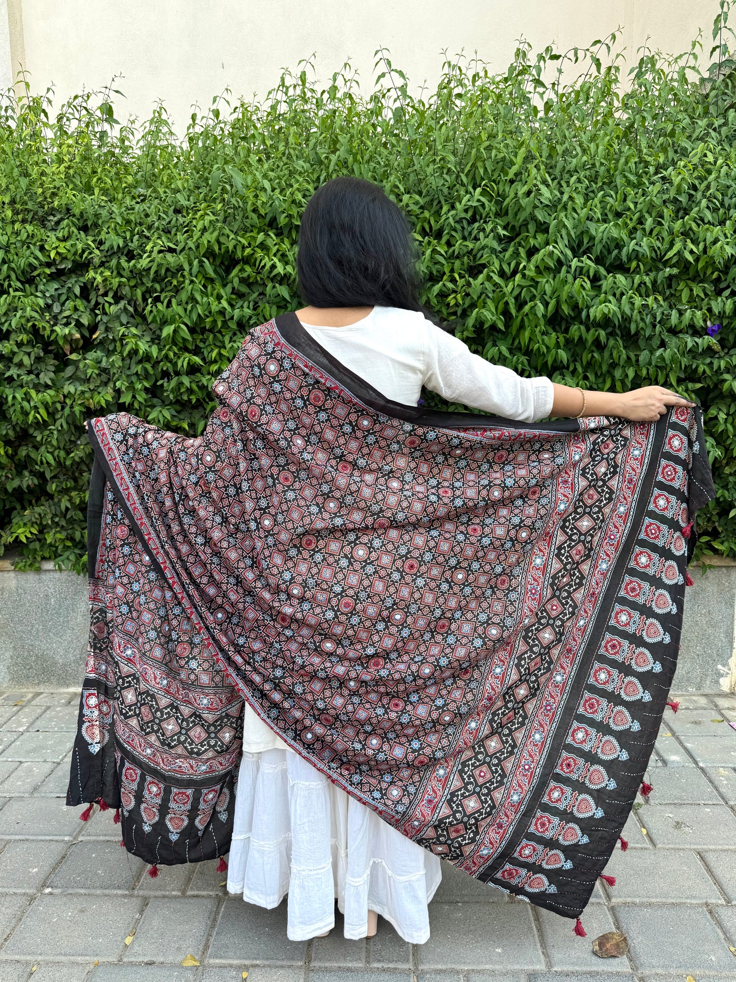 Rangrez🔅Ajrakh Mulmul Cotton Dupattas with Embroidery ~ Black and Red