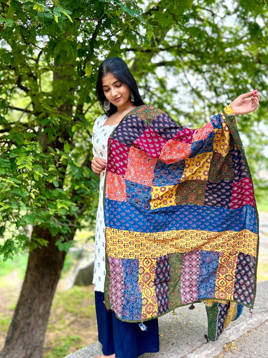Ajrakh Applique & Kantha Embroidered Dupatta ~ Multicolored Chequered