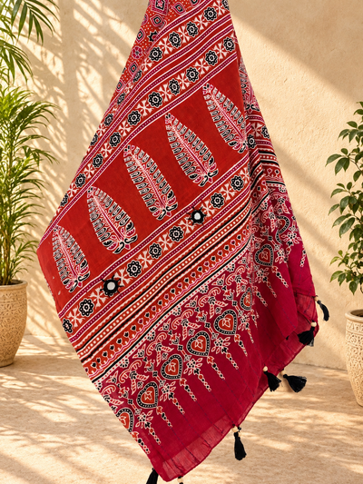 Rangrez🔅Ajrakh Mulmul Cotton Dupattas with Embroidery ~ Orangish Red