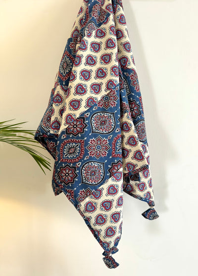 Ajrakh Dupatta ~ Pearl White & Sapphire Blue Chequered